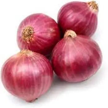 Natural Fresh Onion