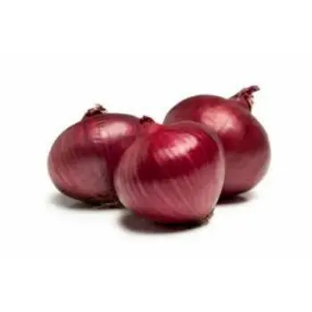 Natural Fresh Onion
