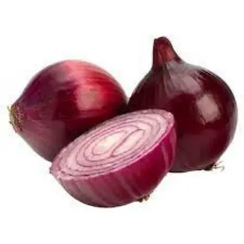 Common Fresh Onion