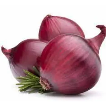 Natural Fresh Onion