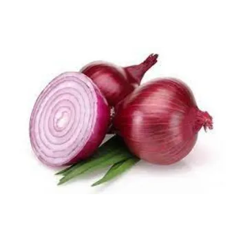 Organic Fresh Onion