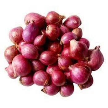 Organic Fresh Onion
