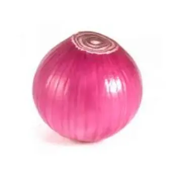 Common Fresh Onion