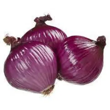 Common Fresh Onion