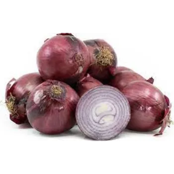 Common Fresh Onion