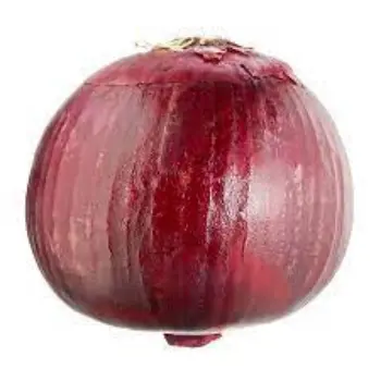 Common Fresh Onion