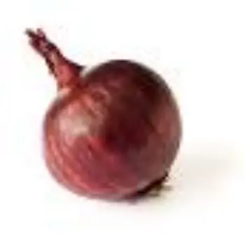 Organic Fresh Onion