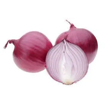 Onion