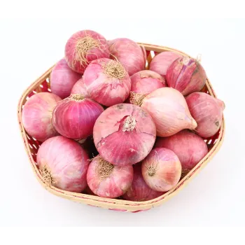 Fresh Onion