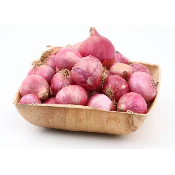 Fresh Onion