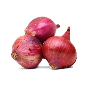 Common Onion