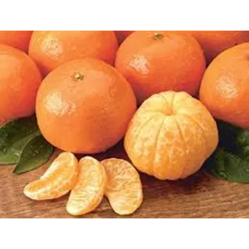 Organic Orange Plant