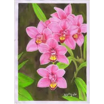 Fresh Orchids