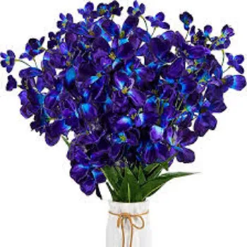 Fresh Orchids Flower Manufacturer