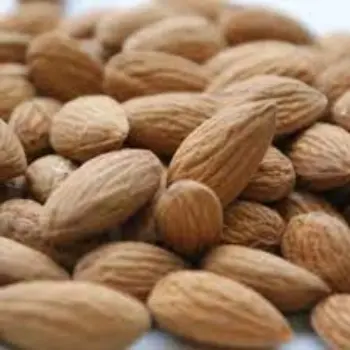 Common Organic Almonds