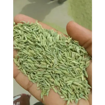 Common Organic Fennel Seeds