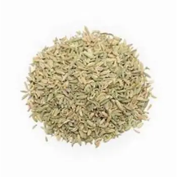 Organic Fennel Seeds
