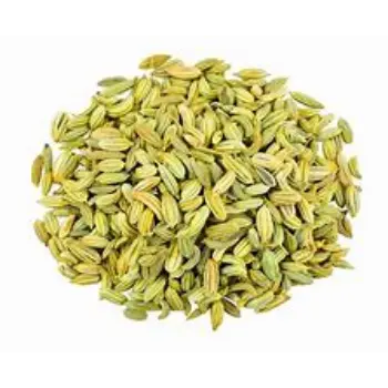 common Organic Fennel Seeds