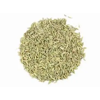 Organic Organic Fennel Seeds