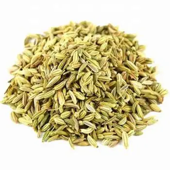 Organic Fennel Seeds