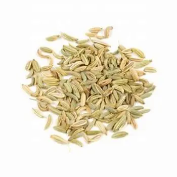 Organic Fennel Seeds