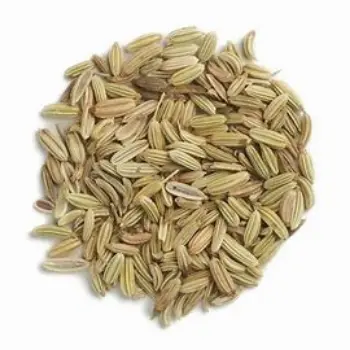 Fresh Organic Fennel Seeds