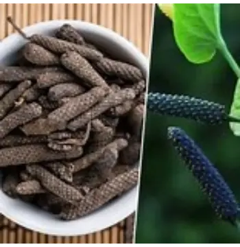 Natural Organic Long Pepper