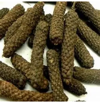 Fresh Organic Long Pepper