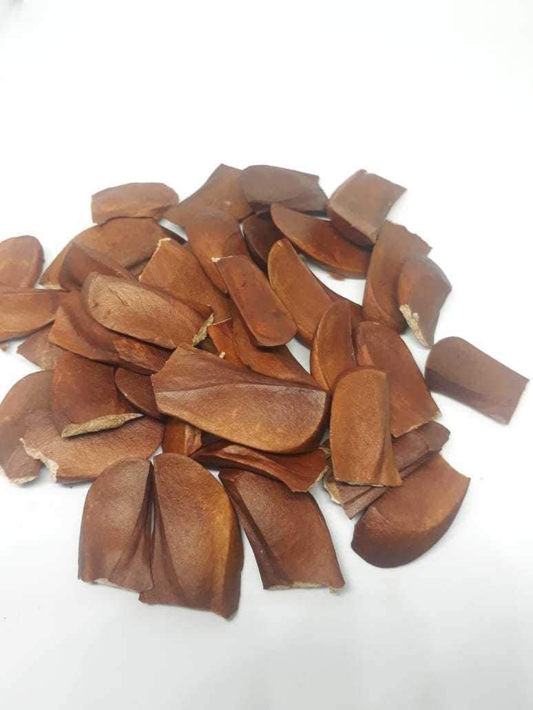  Common Sky Fruit Seeds