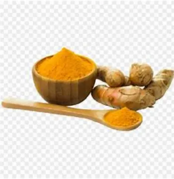 Fresh Organic Turmeric Powder