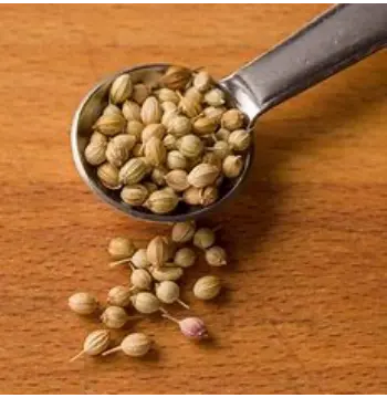  Natural Coriander Seed