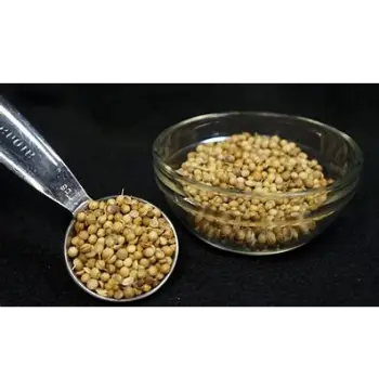 Organic Coriander Seed