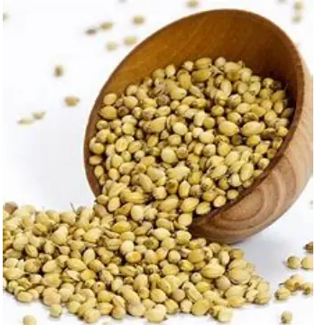 Natural Coriander Seed