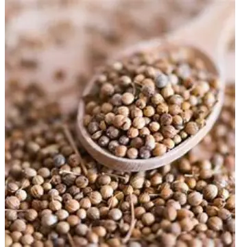 Natural Coriander Seed