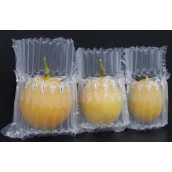  Customized Packing Air Bag