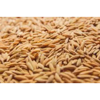 Organic Paddy Seed