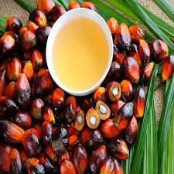 Fitness  Palm Olein Oil
