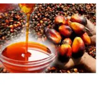  Good Quality Palm Olein Oil