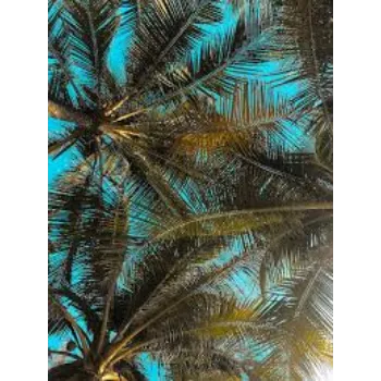 Green  Palm Trees