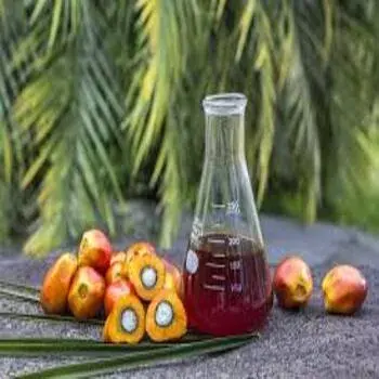 Organic Palm Oil for Cooking
