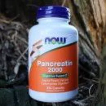Pancreatin