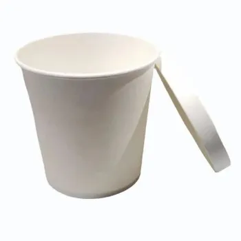 Paper Food Container