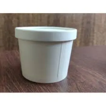 Paper Food Container