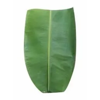 Paper Banana Leaf