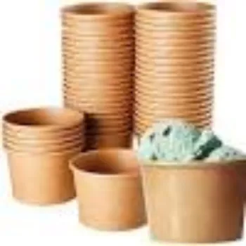 Future Box Private Limited Paper Bowls