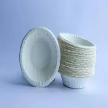 Paper Bowls