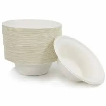 Sustainable Paper Bowl