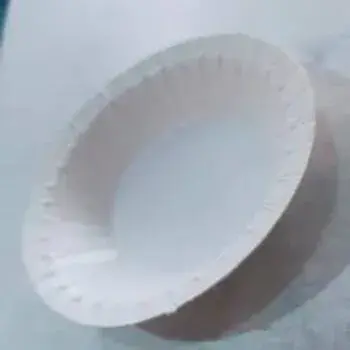 Disposable Paper Bowls