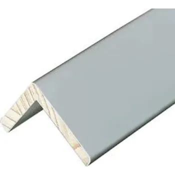 Paper Edge Protector