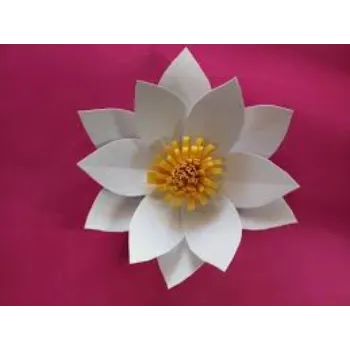 Paper Flowers